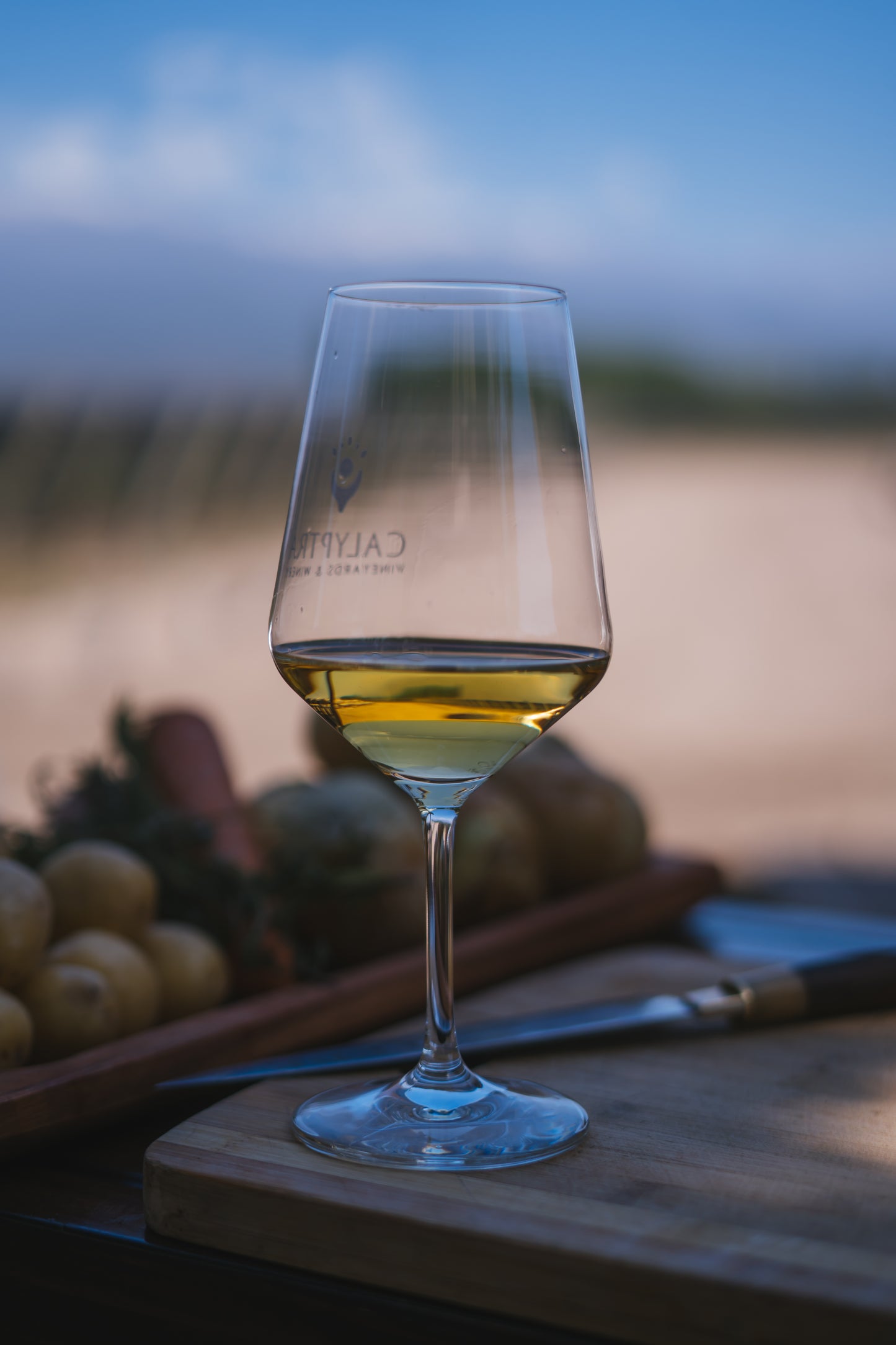 WAYRA Vineyard Selection Chardonnay 2022 - Caja de 6 unidades